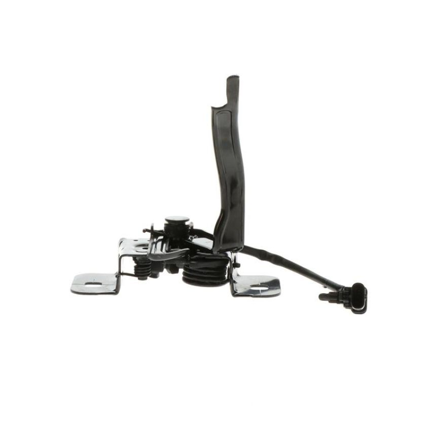 Standard Ignition DLA2218 Hood Latch Assembly