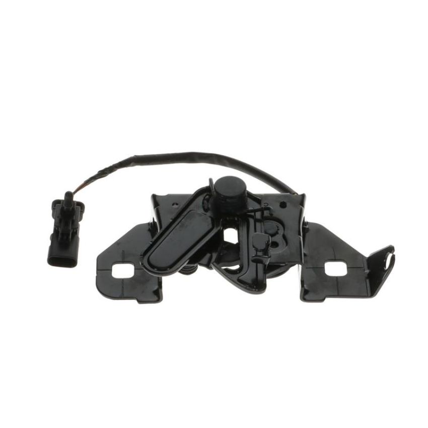 Standard Ignition DLA2220 Hood Latch Assembly