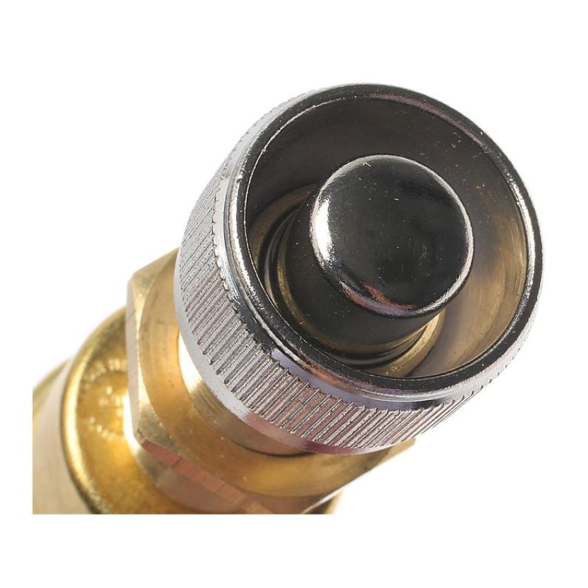 Standard Ignition DS-1790 Push Button Switch