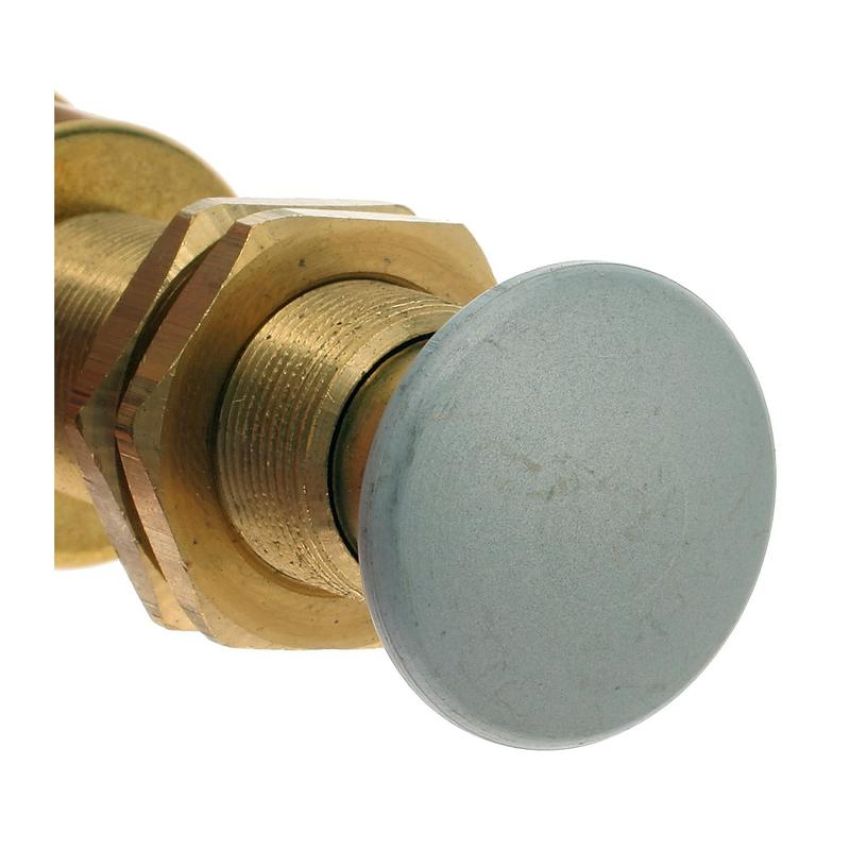 Standard Ignition DS-261 Push Button Switch