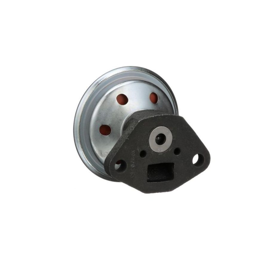 Standard Ignition EGV704 EGR Valve