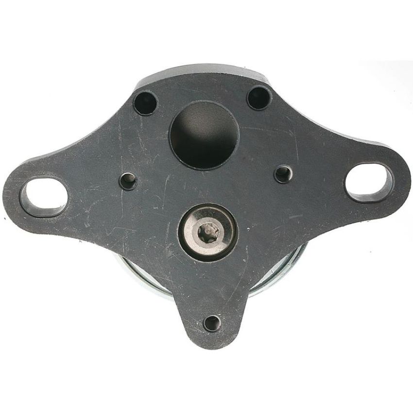 Standard Ignition EGV730 EGR Valve
