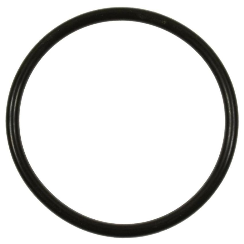 Standard Ignition GDR501 Fuel Pump O-Ring