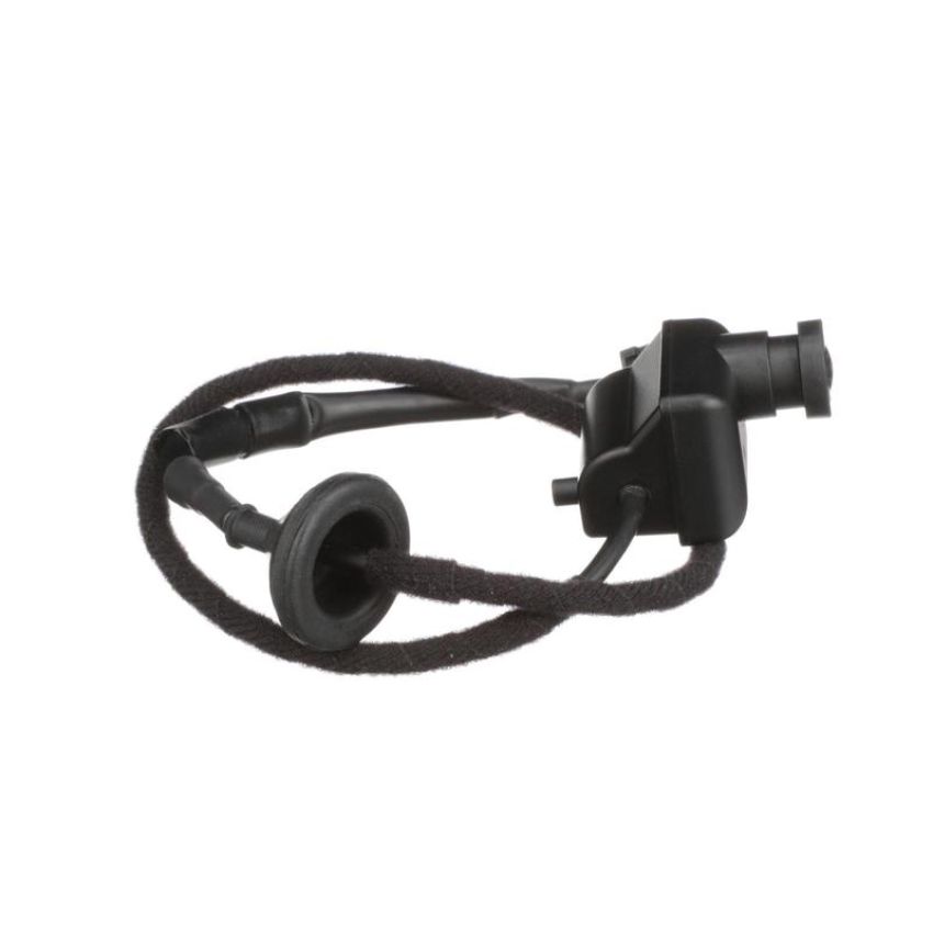 Standard Ignition PAC186 Park Assist Camera
