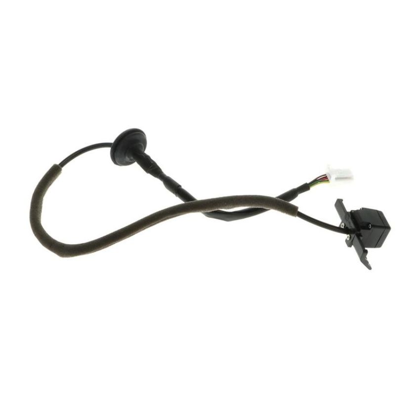 Standard Ignition PAC224 Park Assist Camera