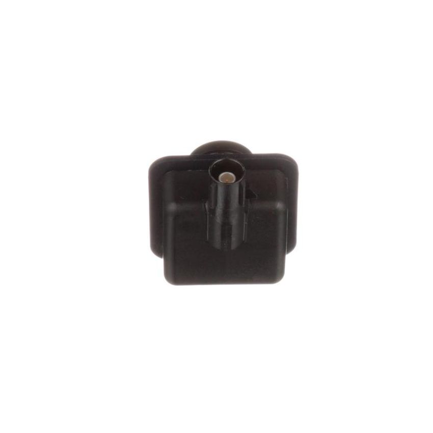 Standard Ignition PAC261 Park Assist Camera