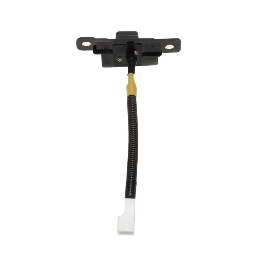 Standard Ignition PAC452 Park Assist Camera