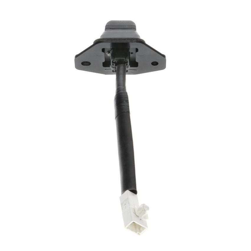 Standard Ignition PAC453 Park Assist Camera