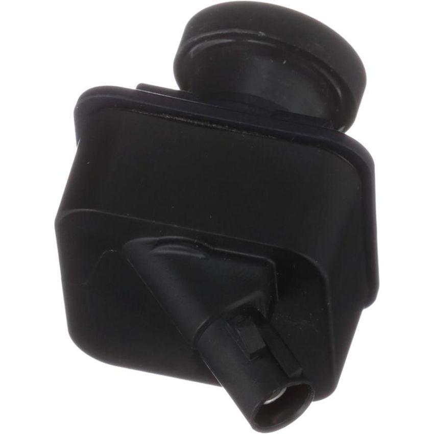 Standard Ignition PAC482 Park Assist Camera