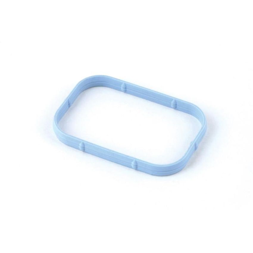 Standard Ignition PG100 Plenum Gasket