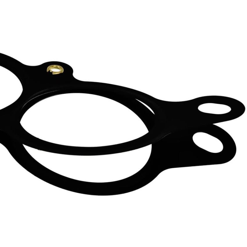 Standard Ignition PG84 Plenum Gasket