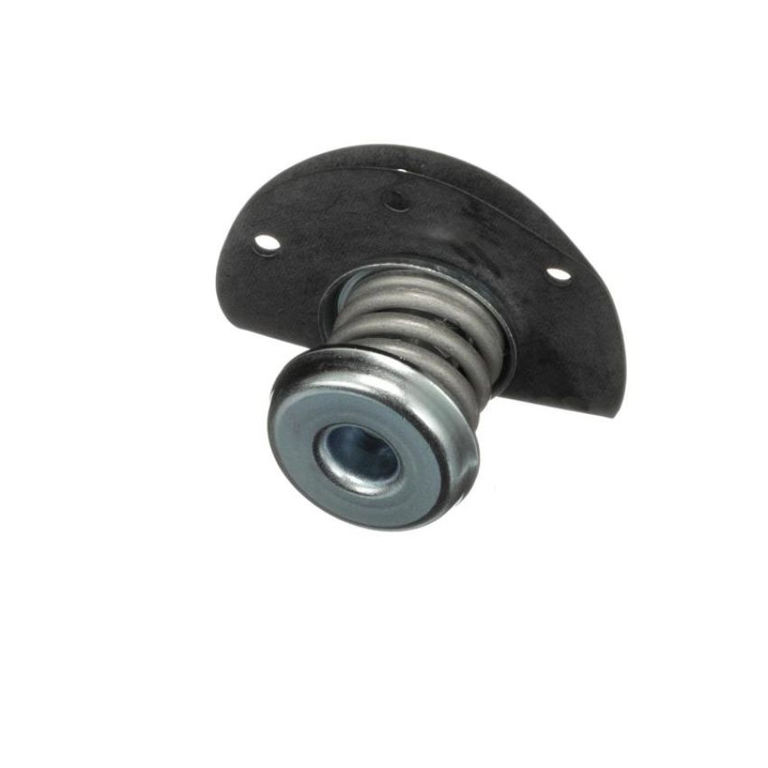 Standard Ignition PR10 Fuel Pressure Regulator