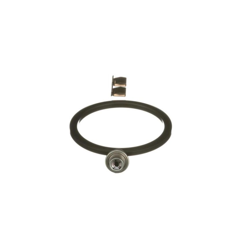 Standard Ignition PR632 Fuel Pressure Regulator