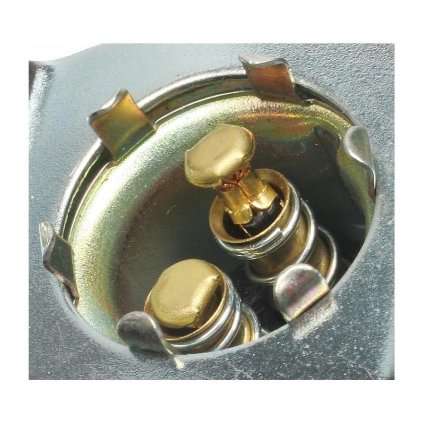 Standard Ignition S-589 Multi Function Socket