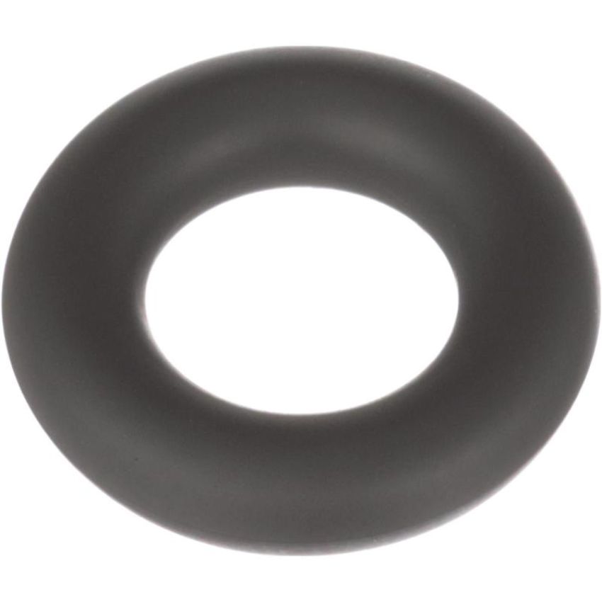 Standard Ignition SK202 Fuel Injector O-Ring