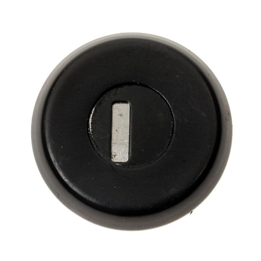 Standard Ignition TL-106B Tailgate Lock Cylinder