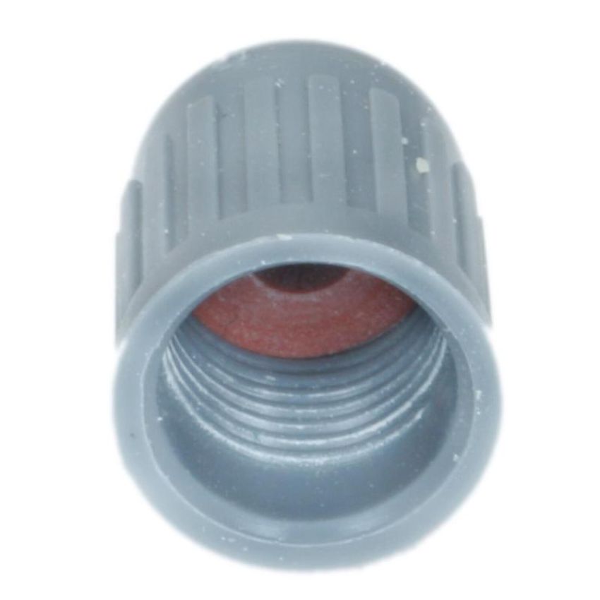 Standard Ignition TPM630N Tire Pressure Monitoring System Valve Cap
