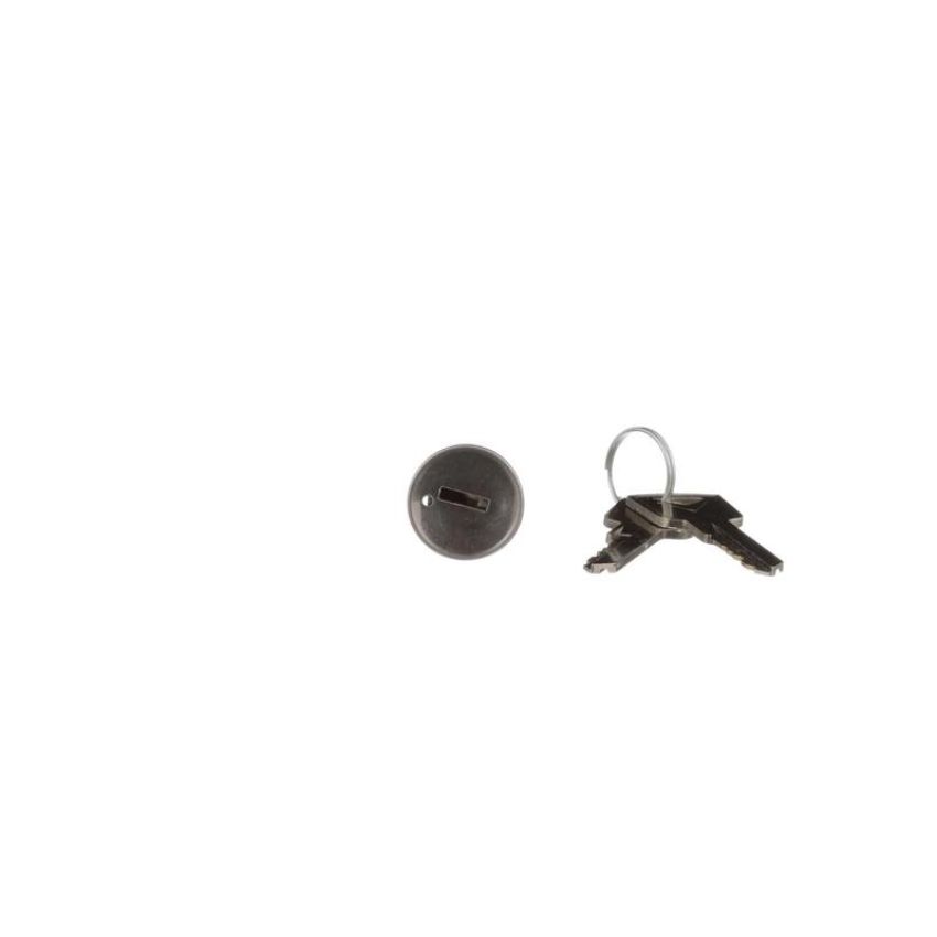 Standard Ignition US-20L Ignition Lock Cylinder
