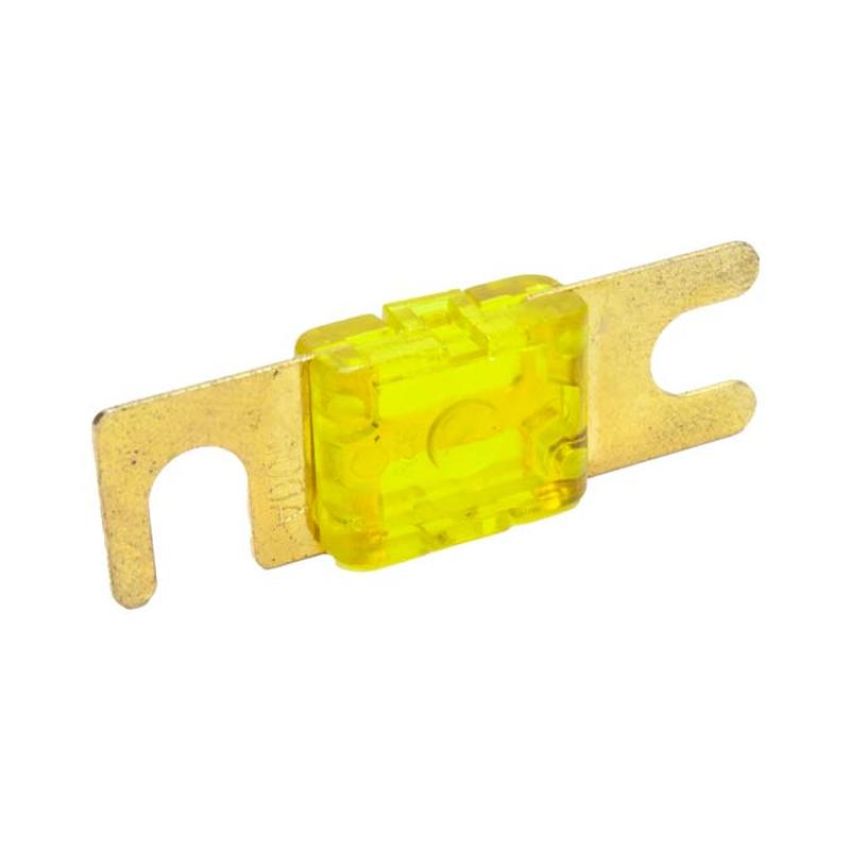 Snow Performance SNF-25012 100 AMP Fuse