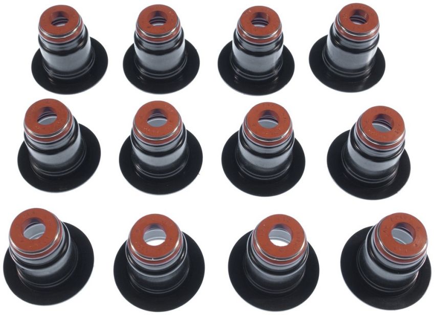 MAHLE SS45879 Engine Valve Stem Oil Seal Set