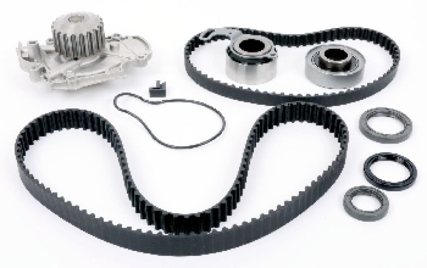 SKF TBK244WP Timing Belt And Waterpump Kit