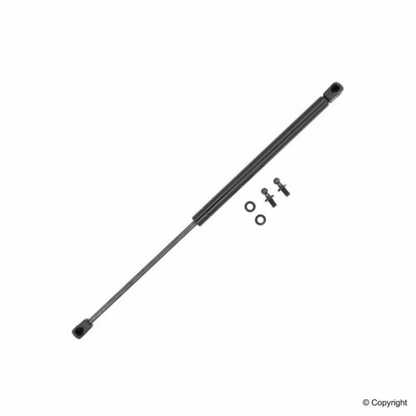 TUFF SUPPORT 611989 Back Glass Lift Support