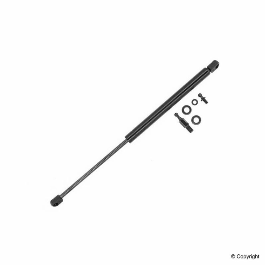 TUFF SUPPORT 612019 Hood Lift Support