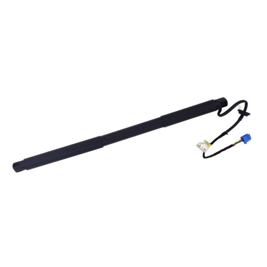 TUFF SUPPORT 615029 Liftgate Lift Support