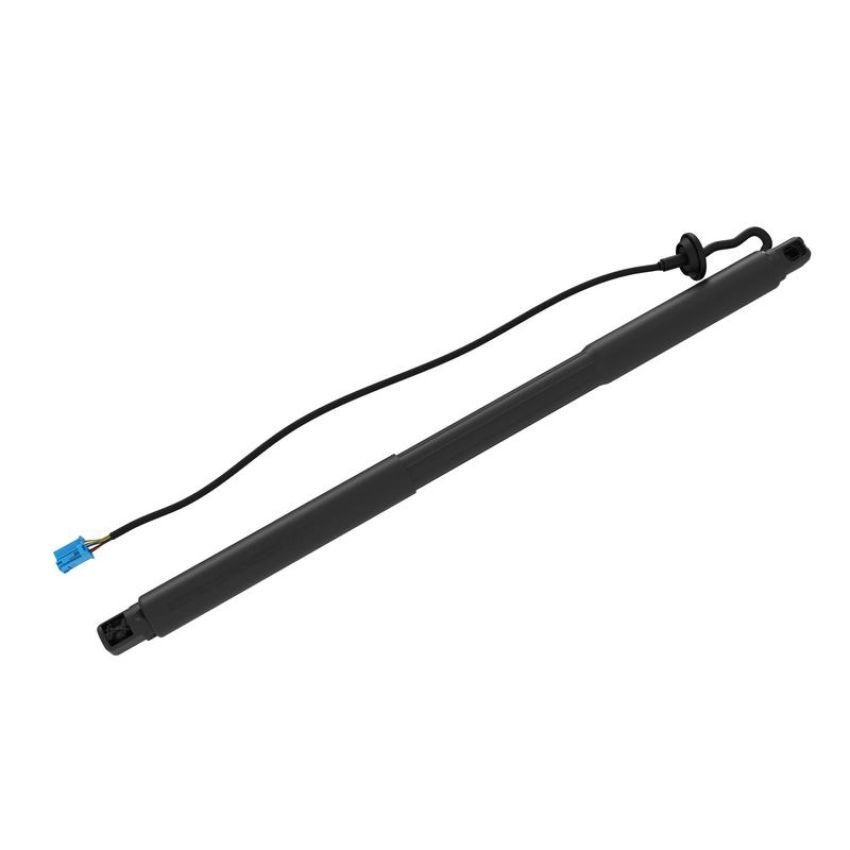 TUFF SUPPORT 615160 Liftgate Lift Support