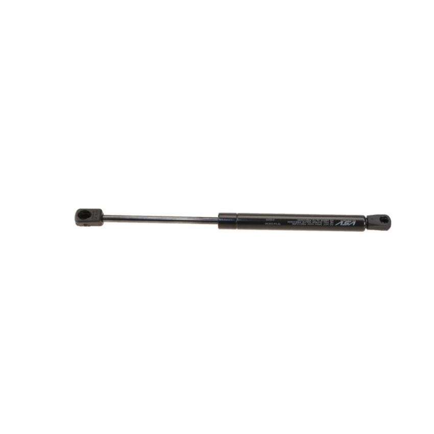 Autopart International Trunk Strut TFS613838