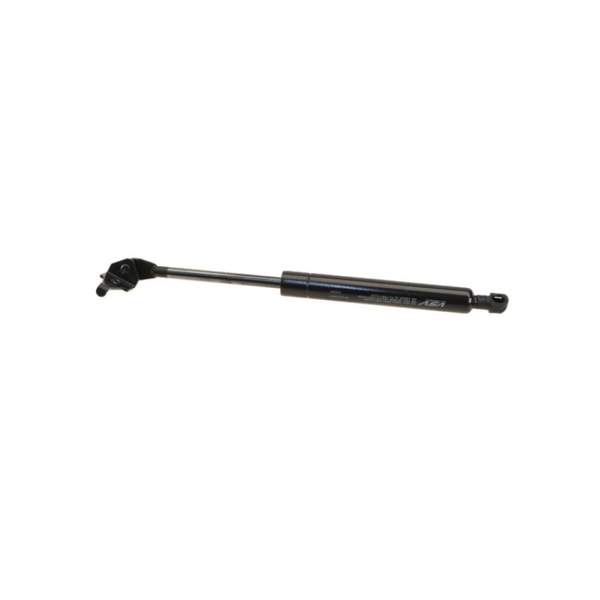 Autopart International Hood Strut TFS613907