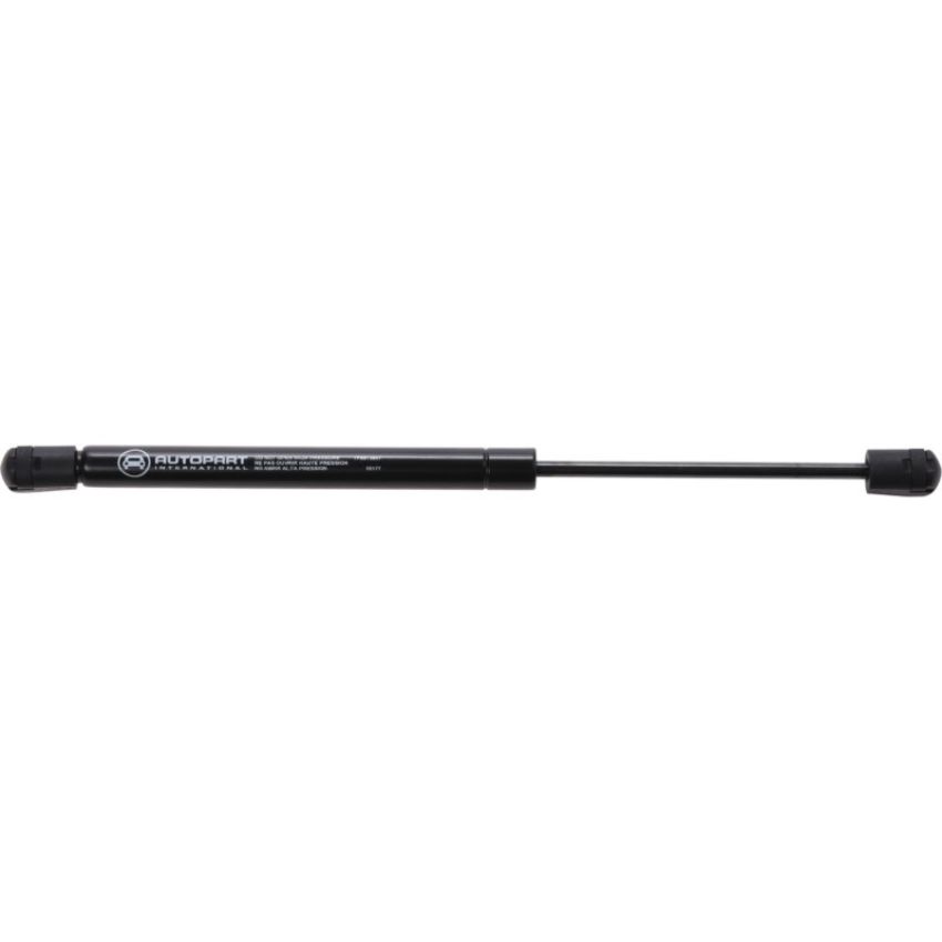 Autopart International Trunk Strut TFS613993