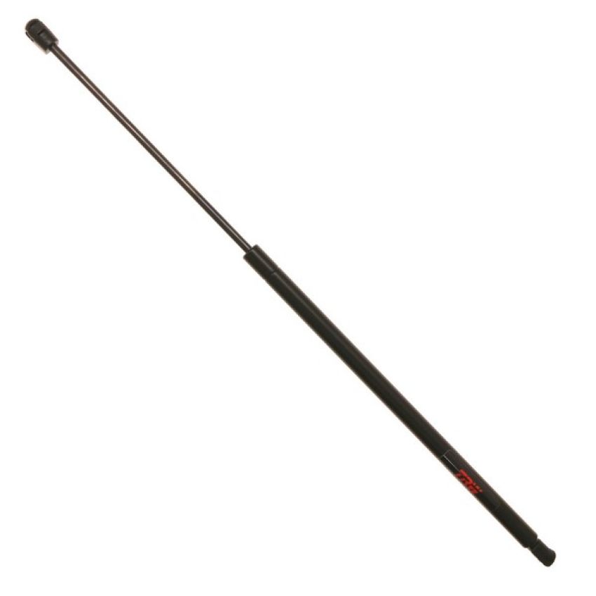 TRW TSG230111