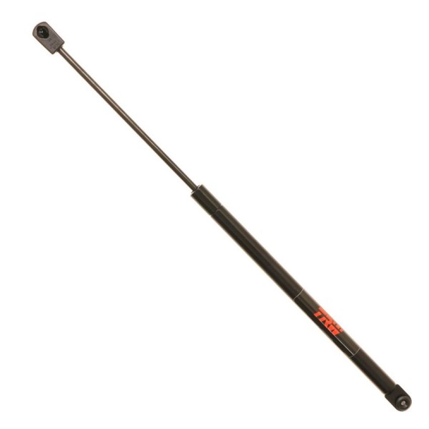 TRW TSG304009
