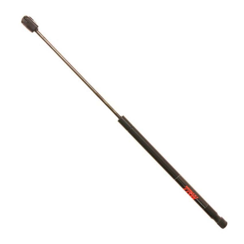 TRW TSG314089