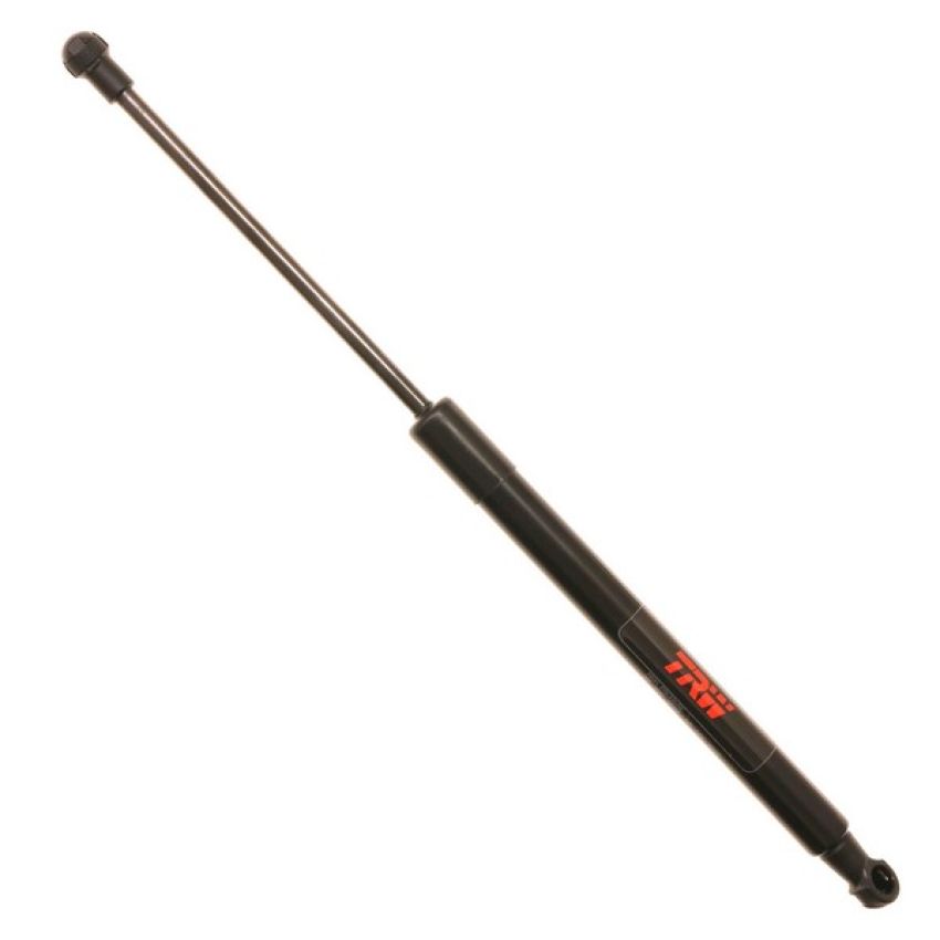 TRW TSG330123
