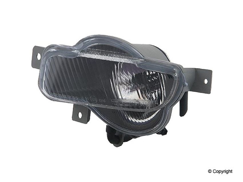 TYC Products 19-5752-00 Fog Light Assem