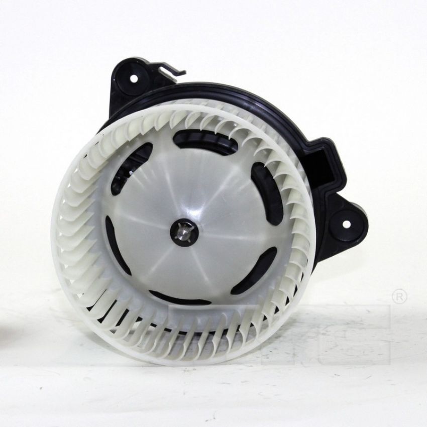 TYC Products 700198 Blower Assembly