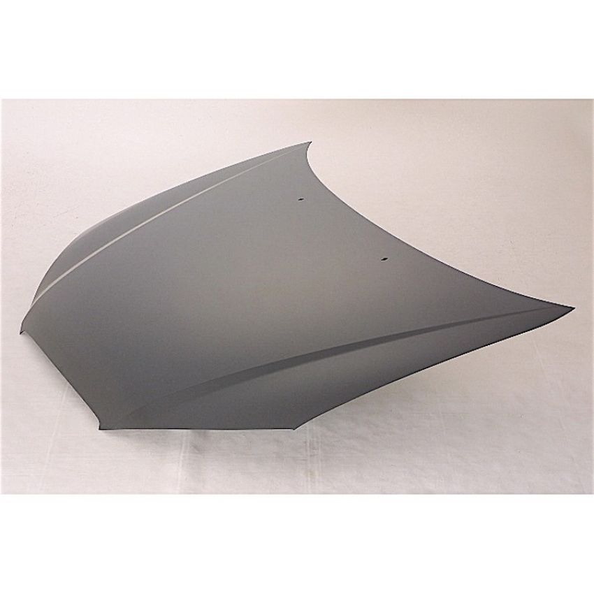 CAPA HOOD PANEL ASSY ELANTRA 07-10