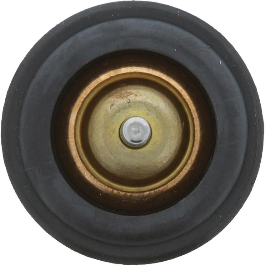 MotoRad 973-221 Thermostat Insert- 221 degrees w/ Seals