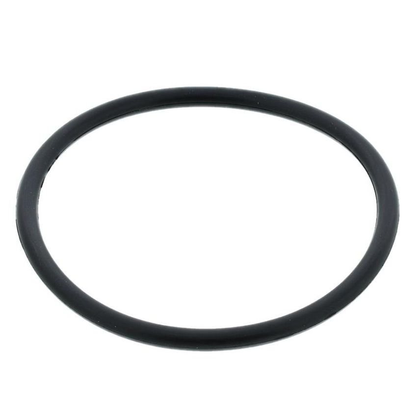 MotoRad MG1006EA Engine Coolant Thermostat Seal