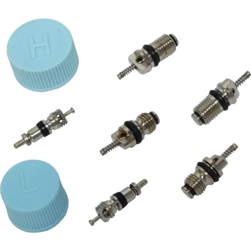 Universal Air Conditioning VC 2913C A/C System Valve Core and Cap Kit -- Valve and Cap Kit