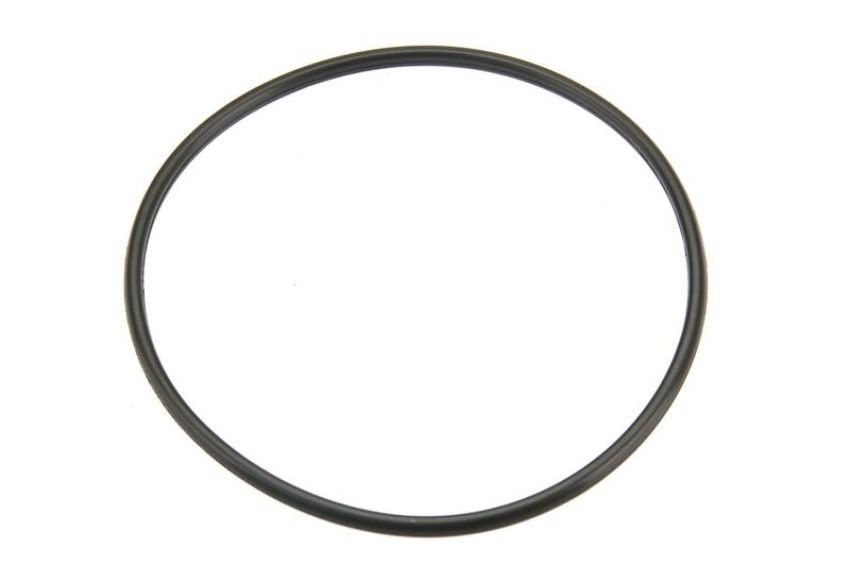 URO Parts 4544780012 Fuel Pump Assembly Sealing O-Ring