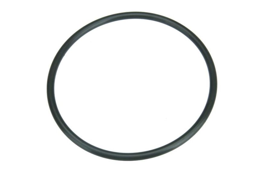 URO Parts NI0515877 Fuel Pump Seal