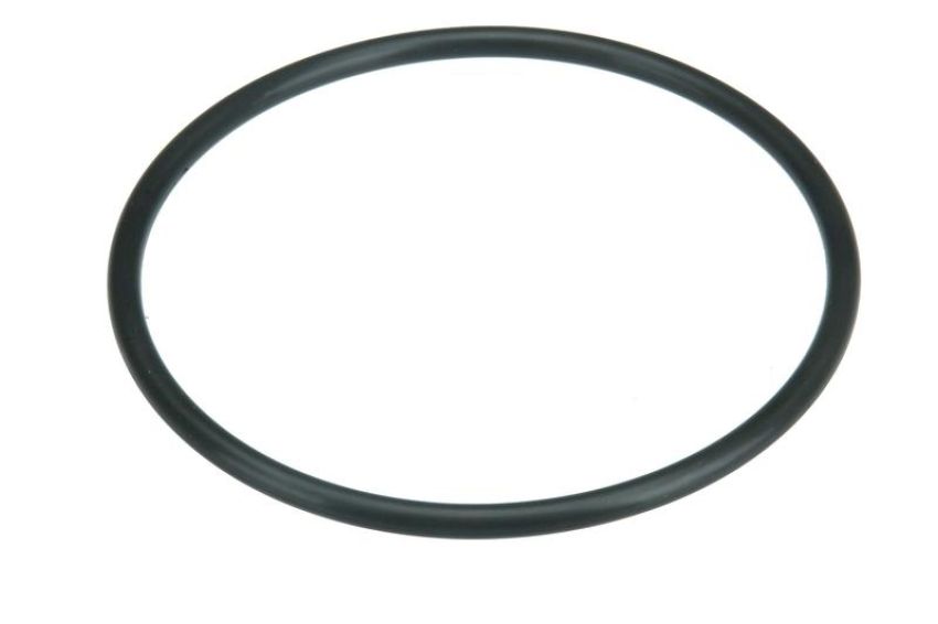URO Parts NI0515877 Fuel Pump Seal