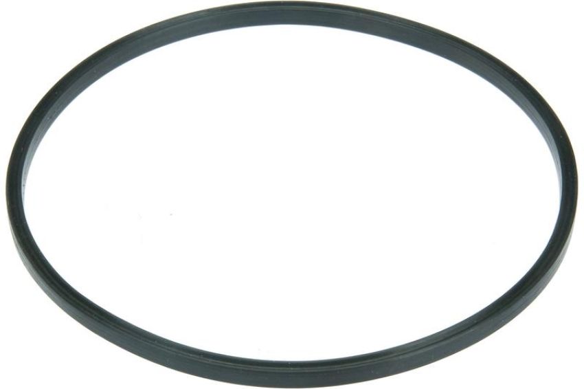 URO Parts NI0515878 Fuel Pump Seal