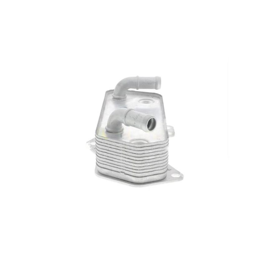 VEMO V10-60-0008 Oil Cooler, automatic transmission