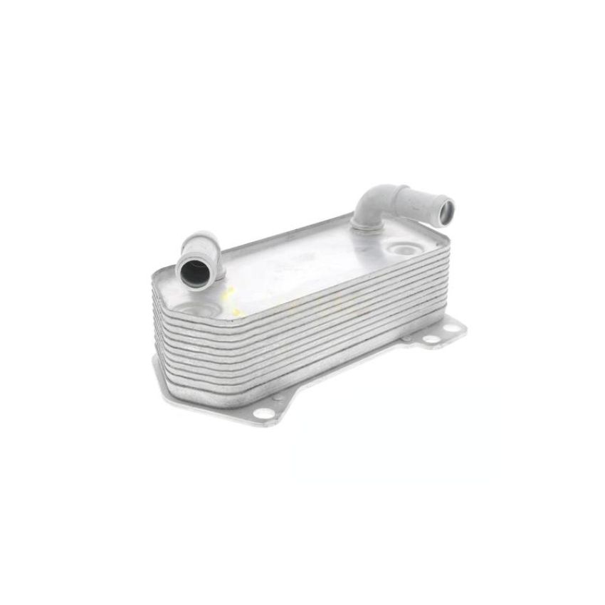 VEMO V10-60-0008 Oil Cooler, automatic transmission