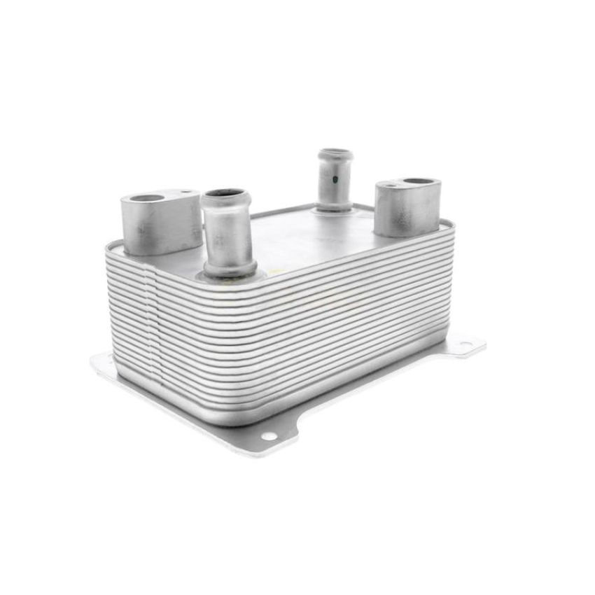 VEMO V15-60-0009 Oil Cooler, automatic transmission