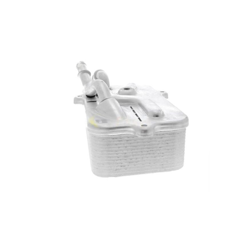 VEMO V15-60-0011 Oil Cooler, automatic transmission